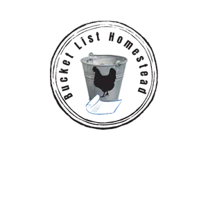 BuyMeACoffee profile picture for @bucket