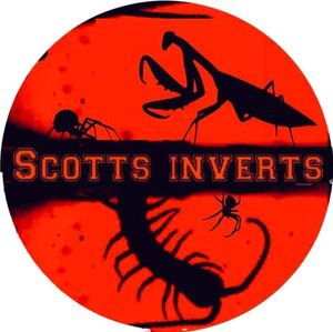scottsinverts