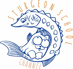 BuyMeACoffee profile picture for @sturgeon