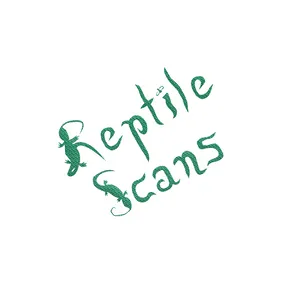BuyMeACoffee profile picture for @Reptile