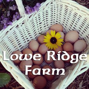 loweridgefarm