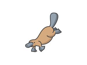 aseebshibin