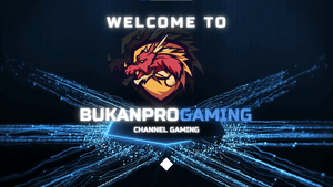 bprogaming