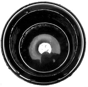 cavalheiroc