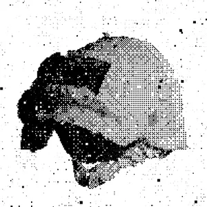 BuyMeACoffee profile picture for @lowly