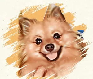 BuyMeACoffee profile picture for @rons