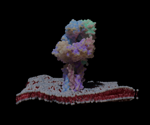 biomarkerdiscoveryhub