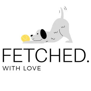 BuyMeACoffee profile picture for @fetched