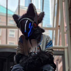 protogentoast