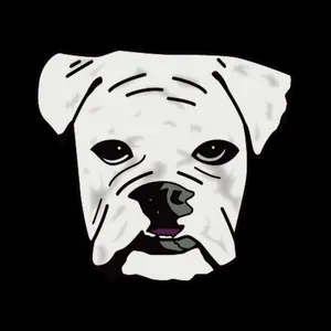 BuyMeACoffee profile picture for @underdog
