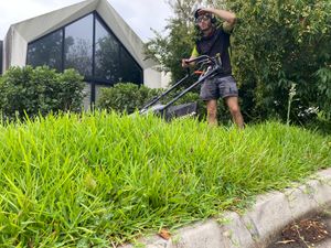 mozzasmowing