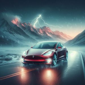 tesla302days