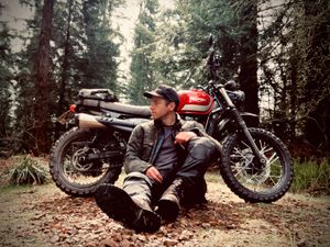 intothewildcog