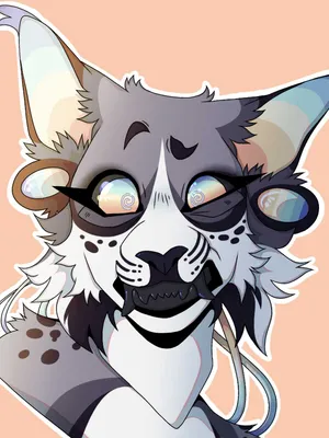 BuyMeACoffee profile picture for @Sear