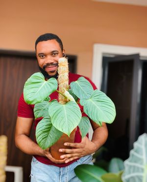 themillennialplantdad