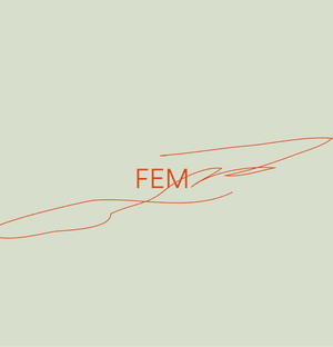 femcommunity