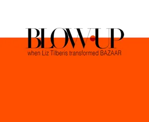 BuyMeACoffee profile picture for @blowup