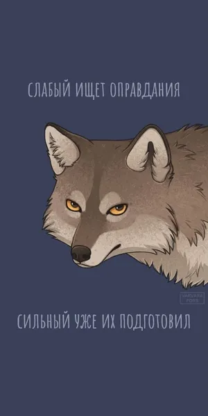 BuyMeACoffee profile picture for @Imperative