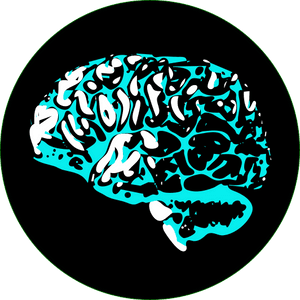 brain_tek_daily