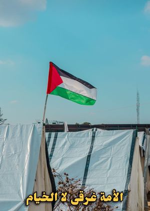 palestinelive