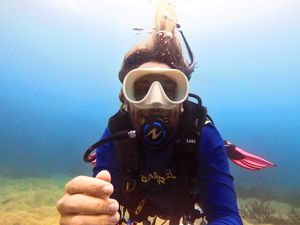 kohtaosealife