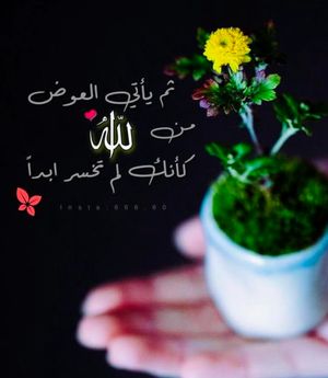 fyadh_abdallh