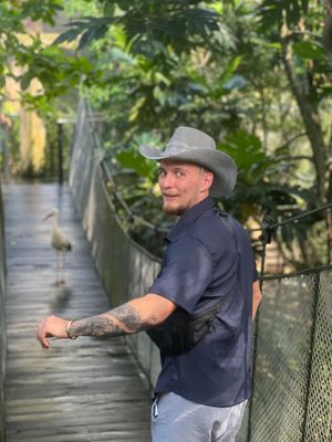 rossthedon