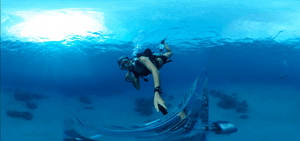undertheblueline