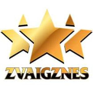 hkzvaigznes