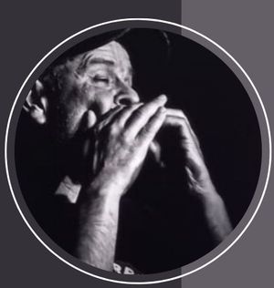 harmonicamania