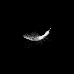 fallenfeatheriv
