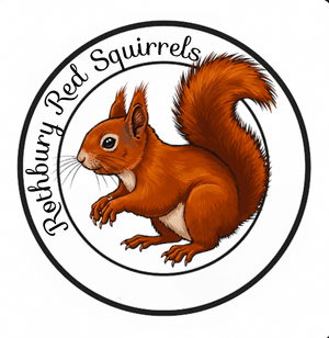 rothburyredsquirrels