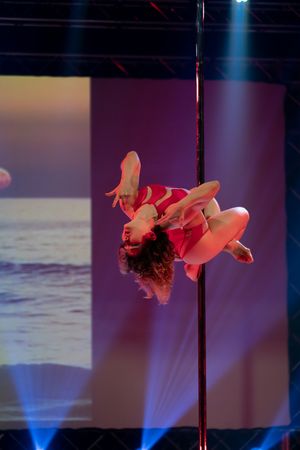 ladydionthepole