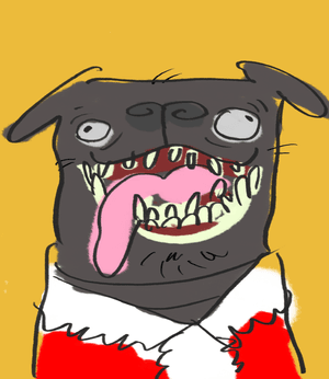 sillypetdor