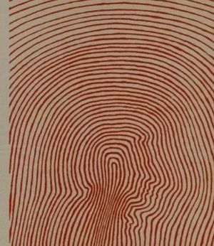 deterritorialization