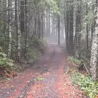 Hiking Incognito: Episode 62, My Dog's Dog