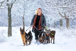 pawsandminds