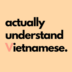 actuallyunderstandviet