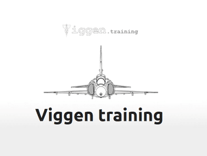 viggen.training