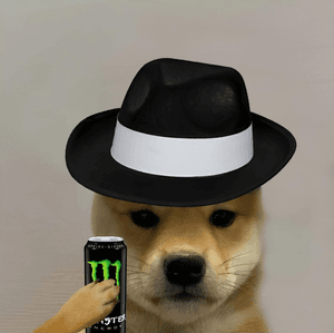 marriderfan
