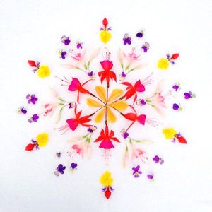 heleflora