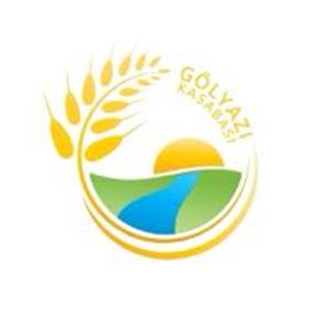 golyazikasabasi