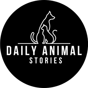 Daily Animal Stories is Creating inspiring wildlife content and ...
