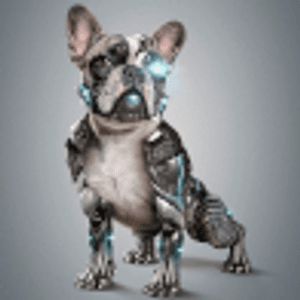 shookdog