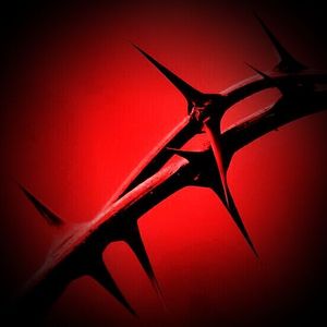 thorneblood