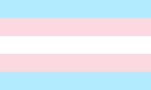 supportmytransition