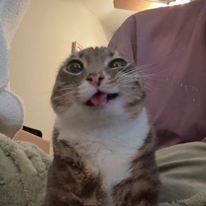 zeuswarning