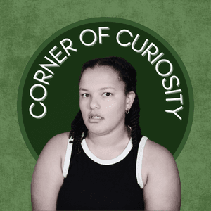 cornerofcuriosity