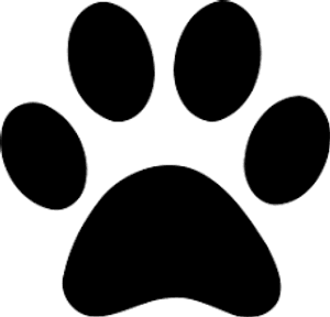 pawtails