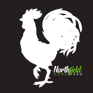 jasonhorse3